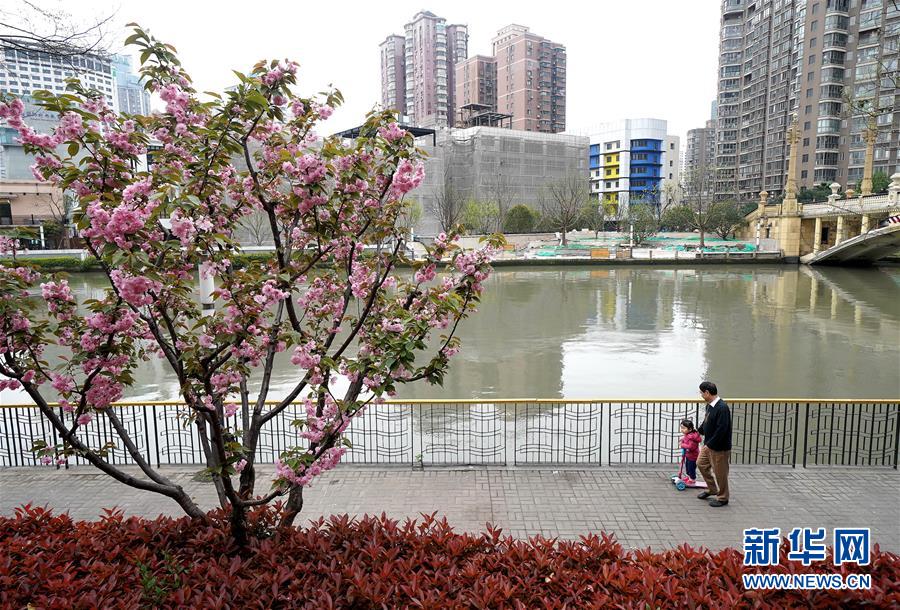 （新华全媒头条·走向我们的小康生活·图文互动）（12）城市，让人民生活更美好