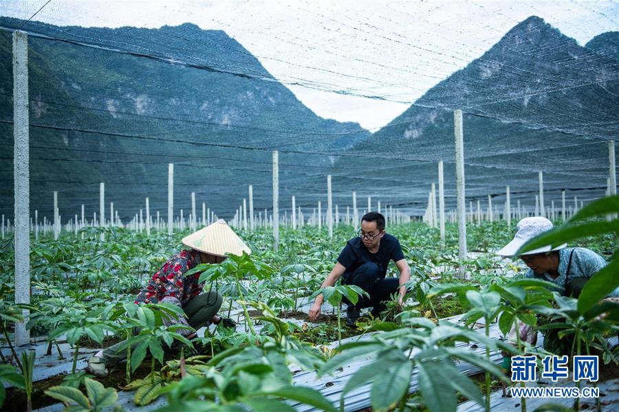 （新华全媒头条·决战决胜脱贫攻坚·督战未摘帽贫困县·图文互动）（10）把“最能打的人”放在最需要的地方——聚焦贵州未脱贫县里的“助攻干部”