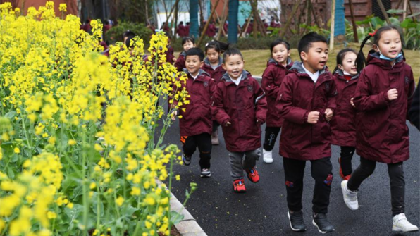 教育部：12种情形中小学问题课外读物禁止进校园