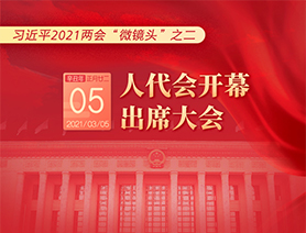 习近平2021两会“微镜头”之二：3月5日 人代会开幕，出席大会