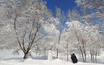 沈阳雪后天晴景色美丽吸引民众观赏拍照